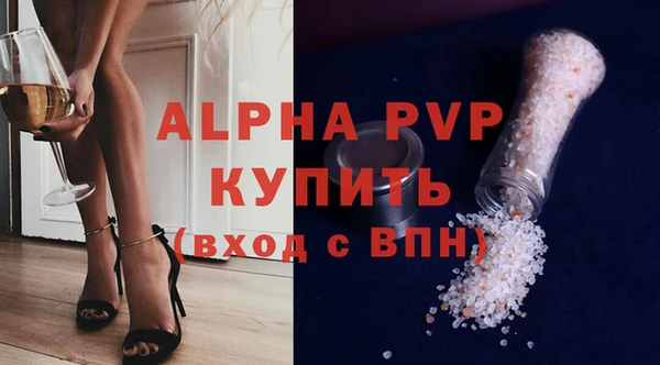 СК Алексин