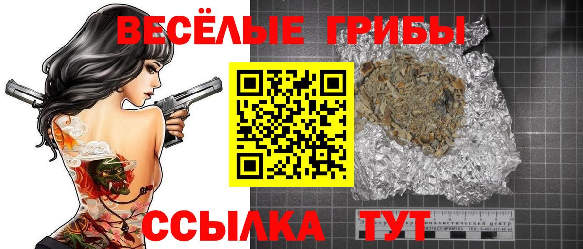 Галлюциногенные грибы Psilocybe Омск